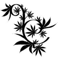 Vector cannabis leaf silhouette on white background Marijuana N2