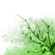 Summer Green