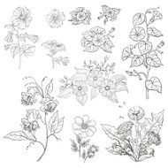 Flowers set outline