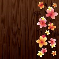 Frangipani (Plumeria) on wood