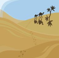Two Walking Camels