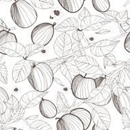 Fruit background N4
