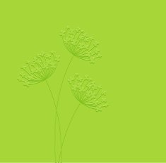 Vector floral background N99