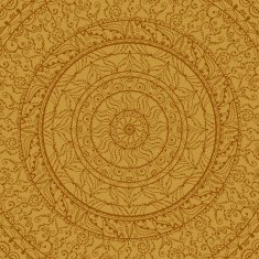 Background with abstract floral lace ornament N30