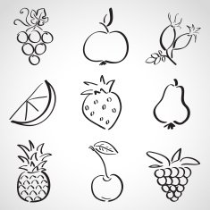Ink style sketch set - fruits and berries N2