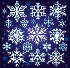 set of vector snowflakes N4