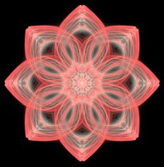 Flower N151