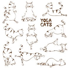 Funny sketch cat doing yoga position