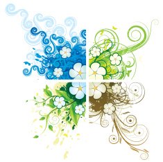 set of 4 corner flower designs