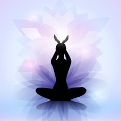 Female Silhouette N33