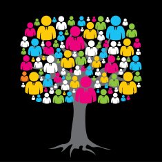 social media tree N5