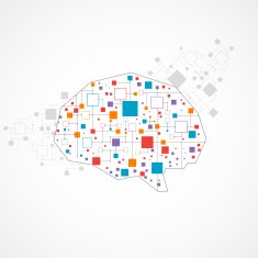 Creative color concept of the human brain N4