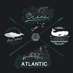 Set of vintage nautical emblems logos design elements