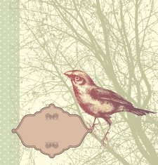 Background with vintage bird sitting on a tree hand drawn