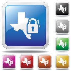 Texas Security Icon