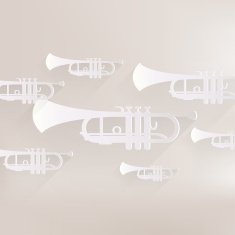 Music wind instruments icon N13