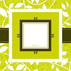 Green square frame N2