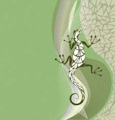 salamander N3