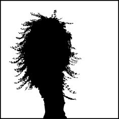 Tree Silhouette 04