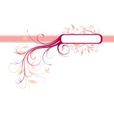 floral frame N324