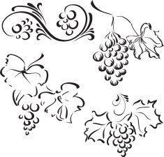 Decorative grape N2