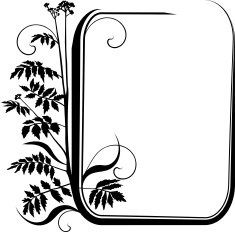 Floral frame VII