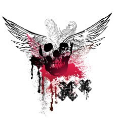 Grunge Wings and Skulls