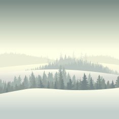 Winter coniferous forest in the morning N2