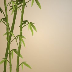 Background with bamboo stems N2