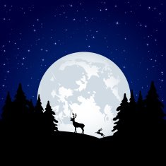 Silhouette of a Deer N3
