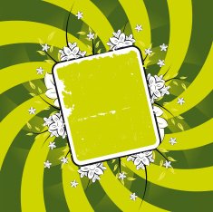 Vector grunge floral plate