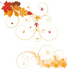 Autumn ornament N29
