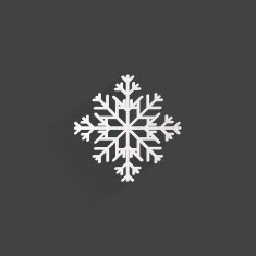 snowflake icon N30