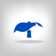 emblem a tail of whale N3