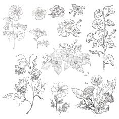 Flowers set outline