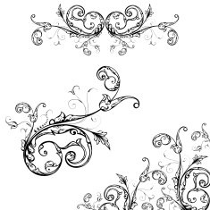 Ornate Scrollwork N5