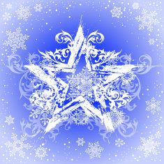 grunge star flowers ornament & snowflakes