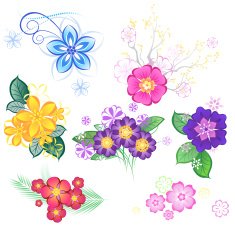 Flowers N416