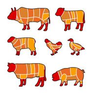 Cutting Meat N4