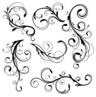 Floral elements N48