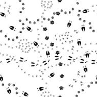 Animal Tracks N10