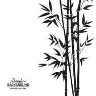 Bamboo bush N2
