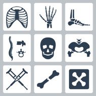 Vector isolated skeleton icons set