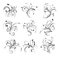 Floral Scrolls N2
