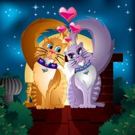 Two Cats in Love at Night