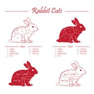 RABBIT meat cuts scheme