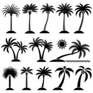 Palm Tree Tropical vector icon set
