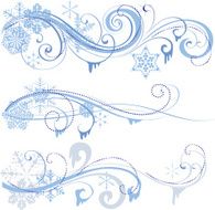 Winter ornament N6
