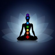 Yoga Silhouette N20