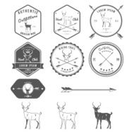 Set of vintage deer icons emblems and labels N2